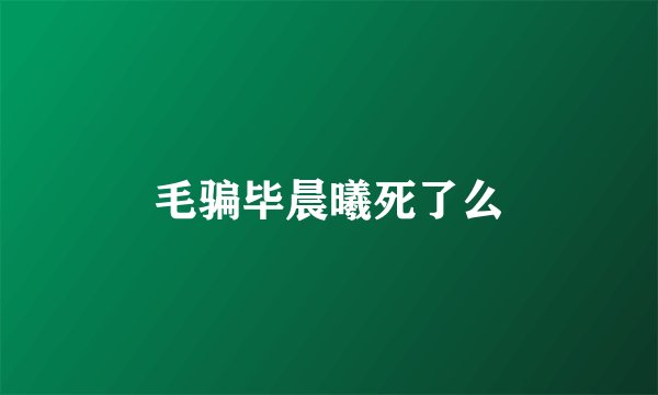 毛骗毕晨曦死了么