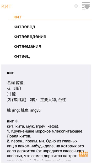 俄语kuma什么意思