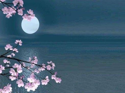 圆月有什么别称