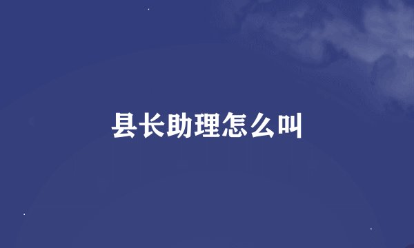 县长助理怎么叫