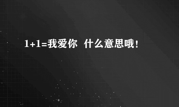 1+1=我爱你  什么意思哦！
