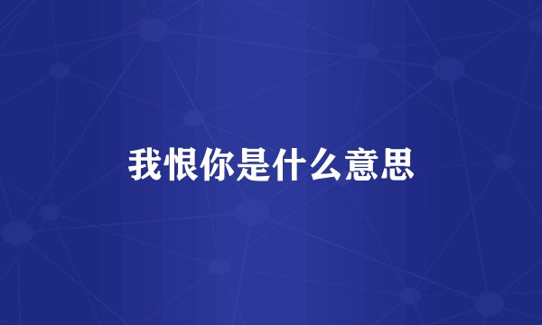 我恨你是什么意思