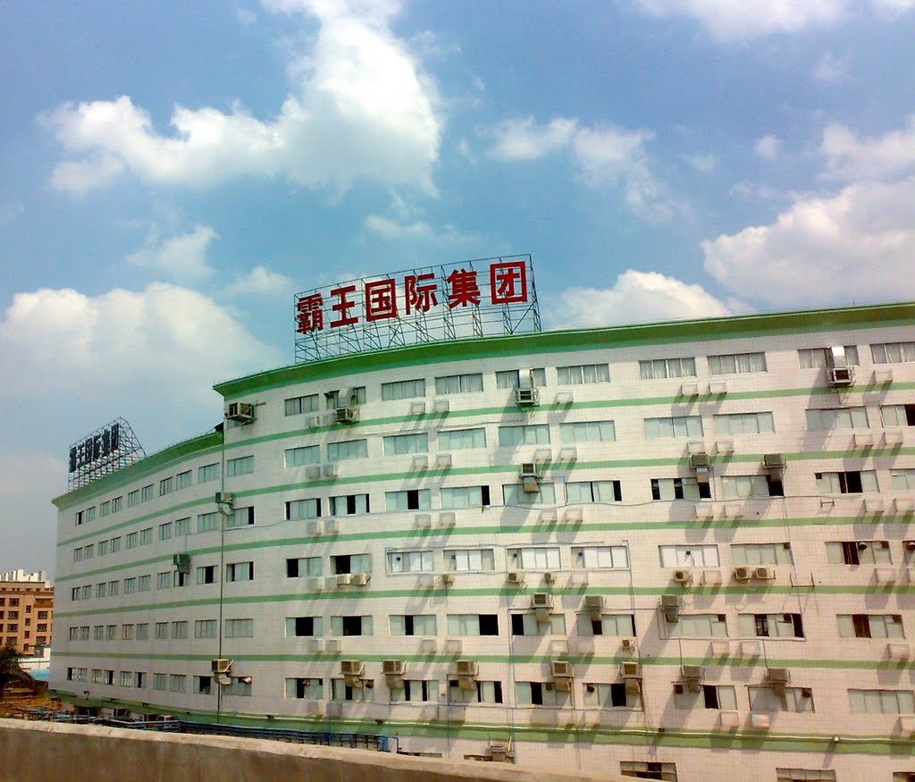 霸王集团的公司简介