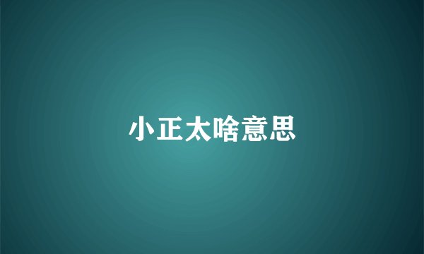 小正太啥意思