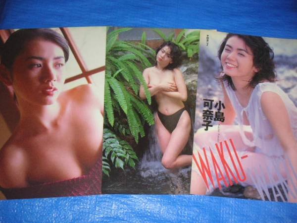 小岛可奈子的人物资料