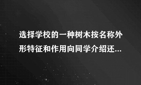 选择学校的一种树木按名称外形特征和作用向同学介绍还有其他什么作用