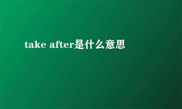take after是什么意思