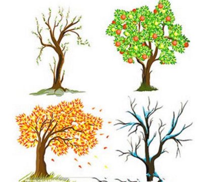 地球为什么分四季呢？