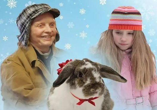 圣诞题材的电影