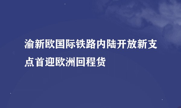 渝新欧国际铁路内陆开放新支点首迎欧洲回程货