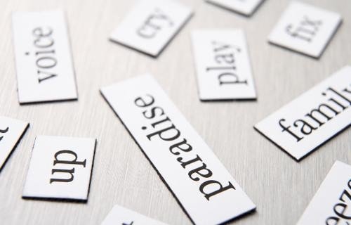 大笨蛋用英语怎么说