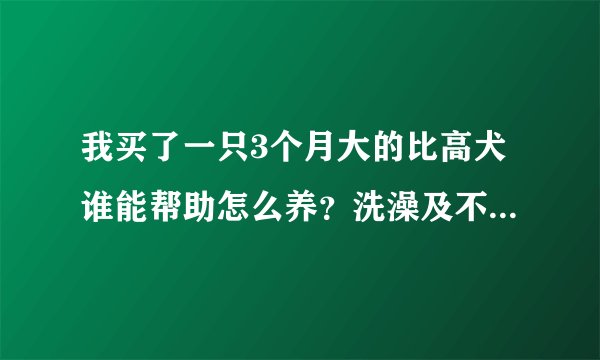 我买了一只3个月大的比高犬谁能帮助怎么养？洗澡及不能给小狗喂什么东西？