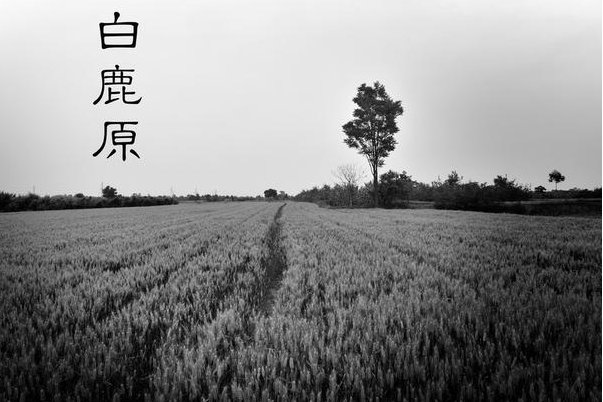 何冰十大经典电视剧