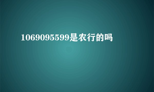 1069095599是农行的吗