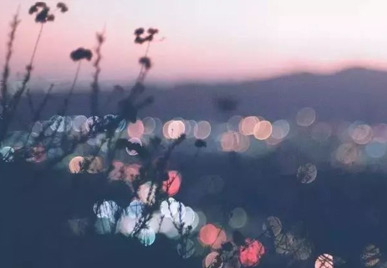 1130爱情数字代表什么意思