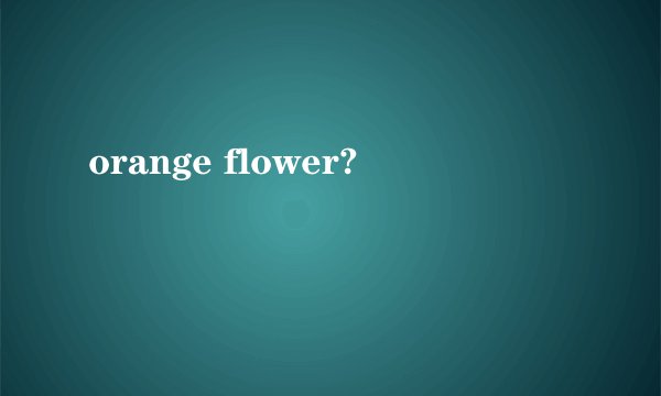 orange flower?