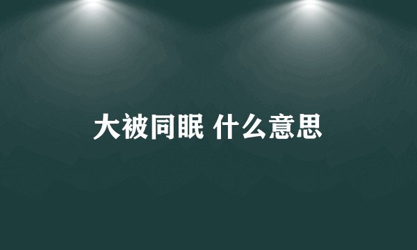 大被同眠 什么意思