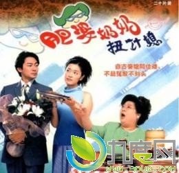 肥婆奶奶扭计媳的介绍