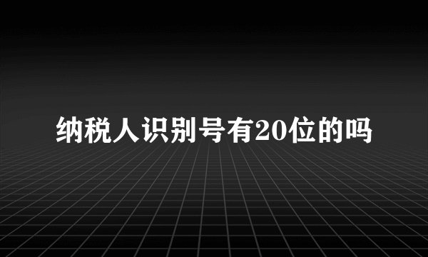 纳税人识别号有20位的吗