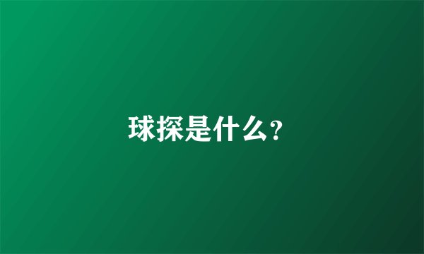 球探是什么？