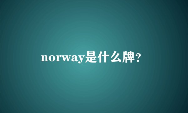 norway是什么牌？