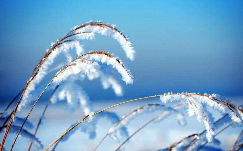 七九是什么时候？