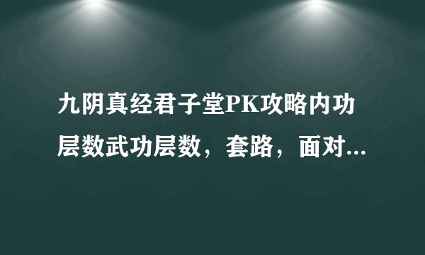 九阴真经君子堂PK攻略内功层数武功层数，套路，面对敌人方法，马上的，轻功逃走的，敌人等等应对方法