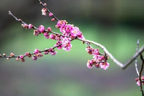 嬛嬛一握楚宫腰下一句