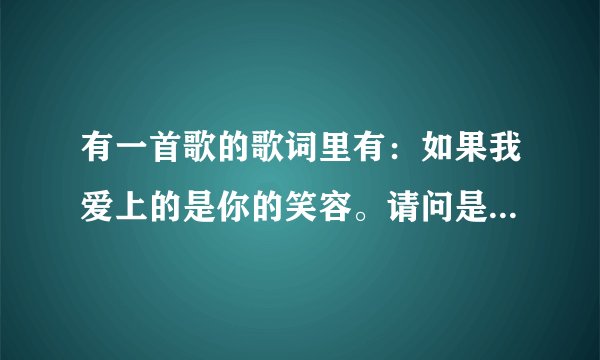 有一首歌的歌词里有：如果我爱上的是你的笑容。请问是什么歌？拜托各位了！