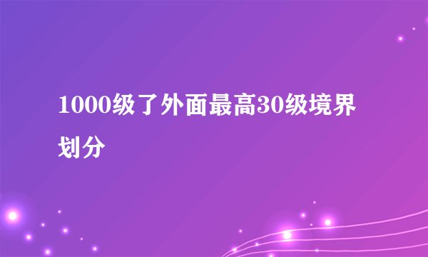 1000级了外面最高30级境界划分