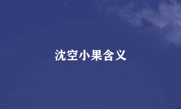 沈空小果含义