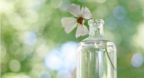 未知全貌不予置评的意思是什么?