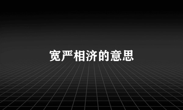 宽严相济的意思