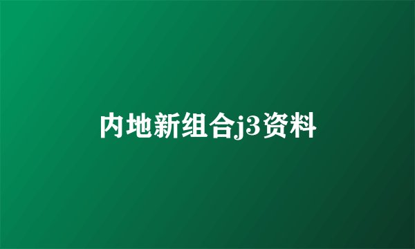 内地新组合j3资料