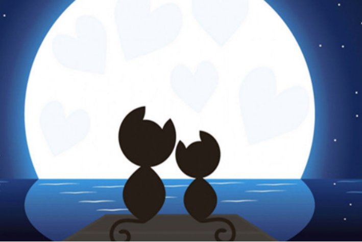 1130爱情数字代表什么意思