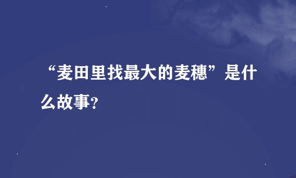 “麦田里找最大的麦穗”是什么故事？