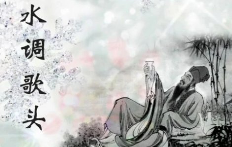 千里共婵娟什么意思？