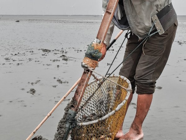 大连赶海时间和最佳赶海时间