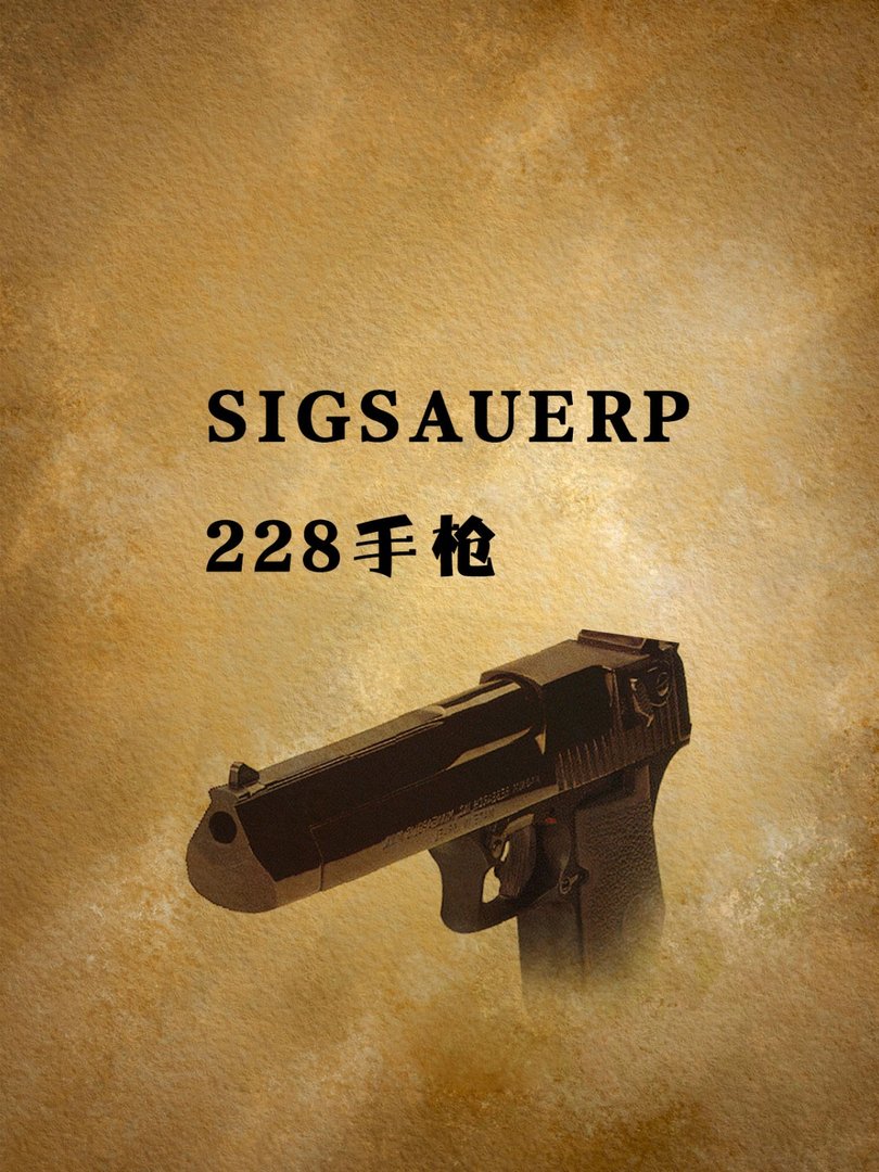 SIGSAUERP228手枪