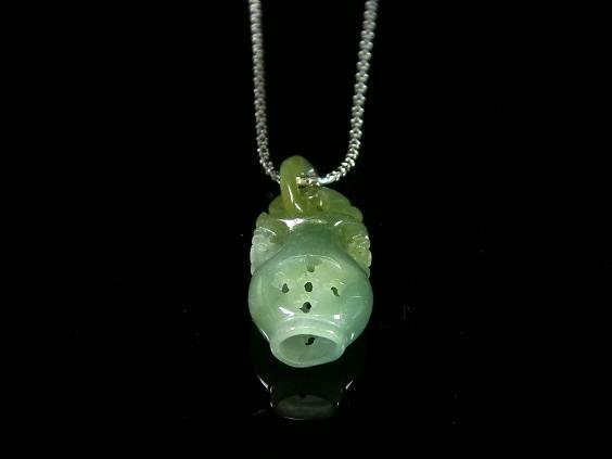 随身宝瓶的内容简介