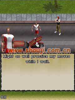 FIFA街头足球3的简介