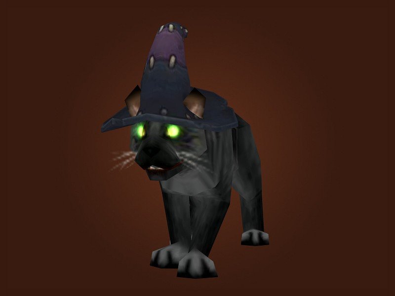 灵猫魔宠的介绍