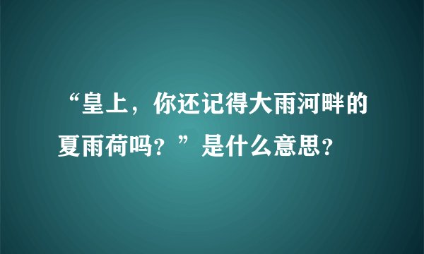 “皇上，你还记得大雨河畔的夏雨荷吗？”是什么意思？