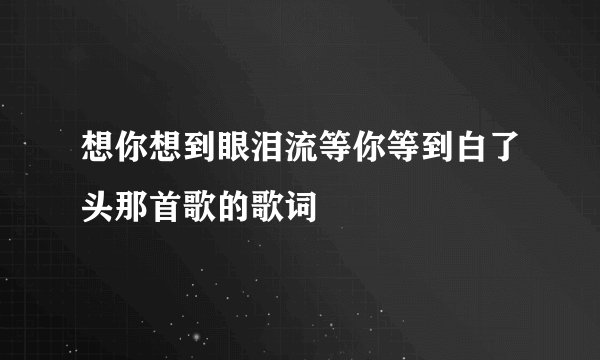 想你想到眼泪流等你等到白了头那首歌的歌词