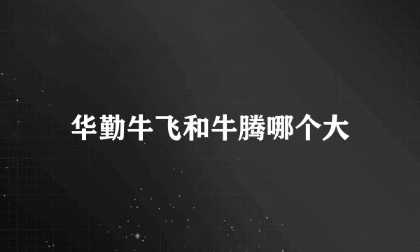 华勤牛飞和牛腾哪个大