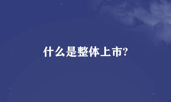 什么是整体上市?