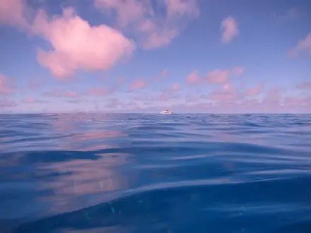 3w是什么意思啊?