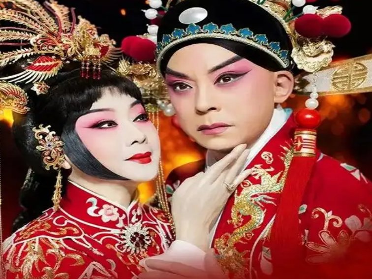 佘诗曼主演的电视剧大全