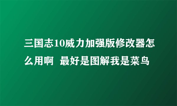 三国志10威力加强版修改器怎么用啊  最好是图解我是菜鸟