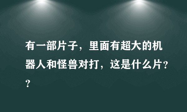 有一部片子，里面有超大的机器人和怪兽对打，这是什么片？？
